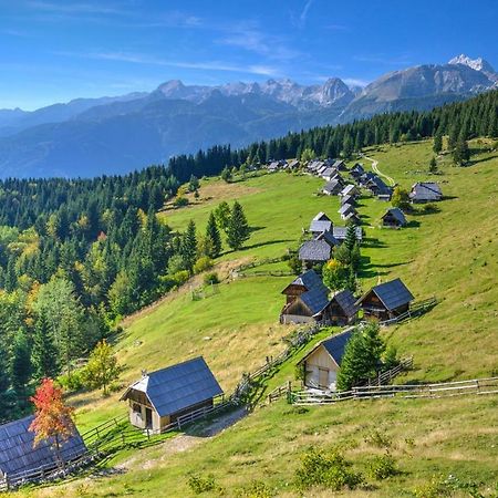 Apartma Dominik Zgornje Gorje Buitenkant foto