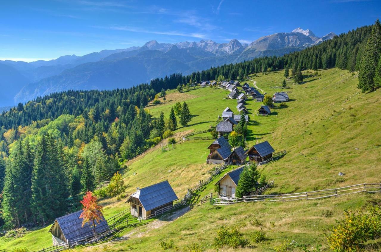 Apartma Dominik Zgornje Gorje Buitenkant foto